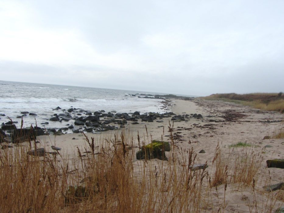 Walk 7 - Kildonan Beach