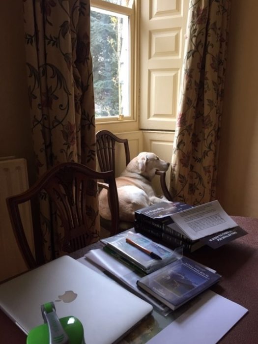 Cassie in her favourite chair at home. Sadly she has now left us too.