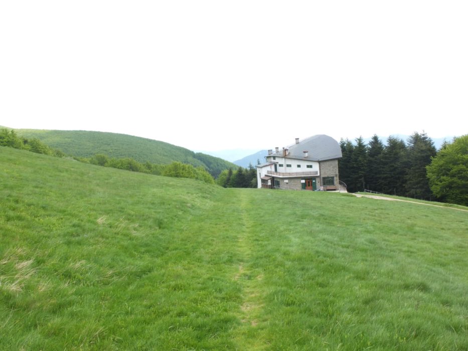 6 Rifugio Citta Di Forli Stands In A Vast Meadow