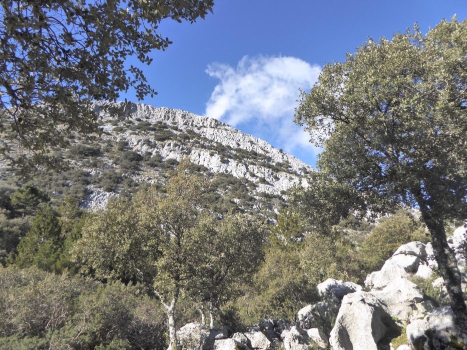 Grazalema The Southern Flank Of The Reloj Jpg
