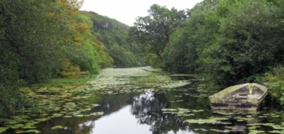 Lochan a’ Ghurrabàin, Aros Park