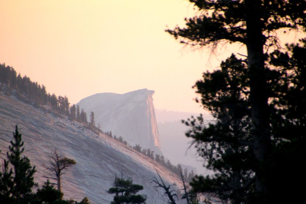 Evening Light On Half Dome
