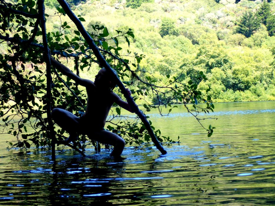 Wild Swimming Every Day