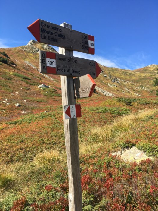Another Signpost - Hurray!