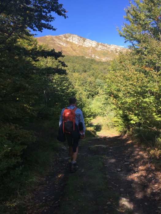 Another Wonderful Day Of Walking