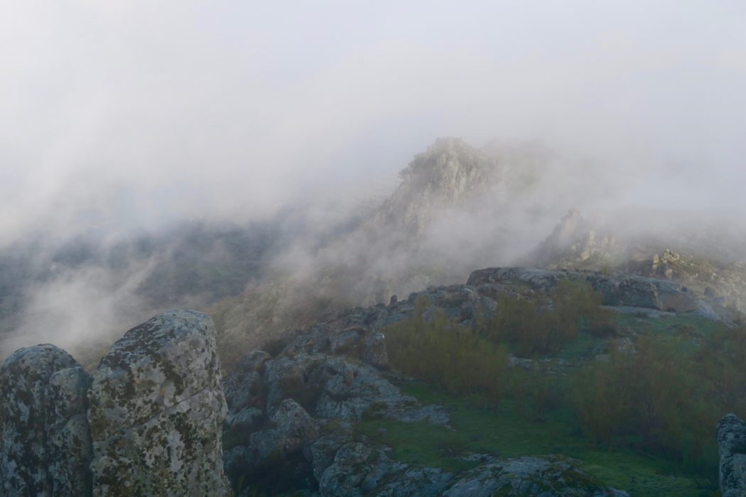 4 Halfway Viewpoint