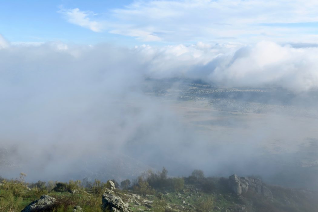 5 View Eastwards From The Top