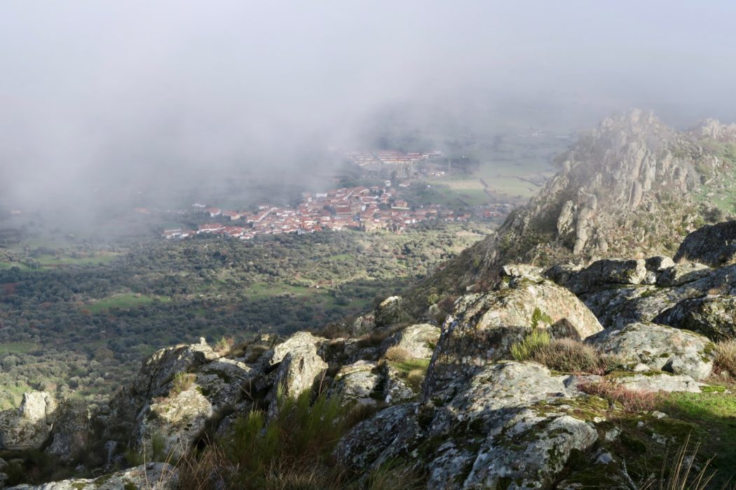 7 Santa Cruz De La Sierra