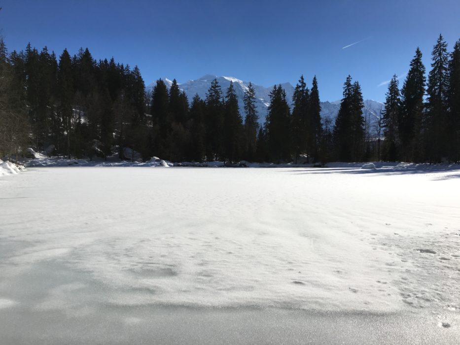 Frozen Surface Of Lac Vert With Mont Blanc Behind