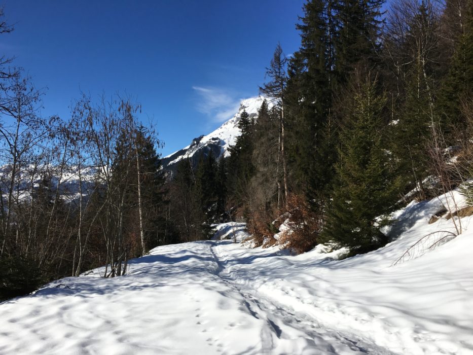 Snowy Trail To Lac Vert