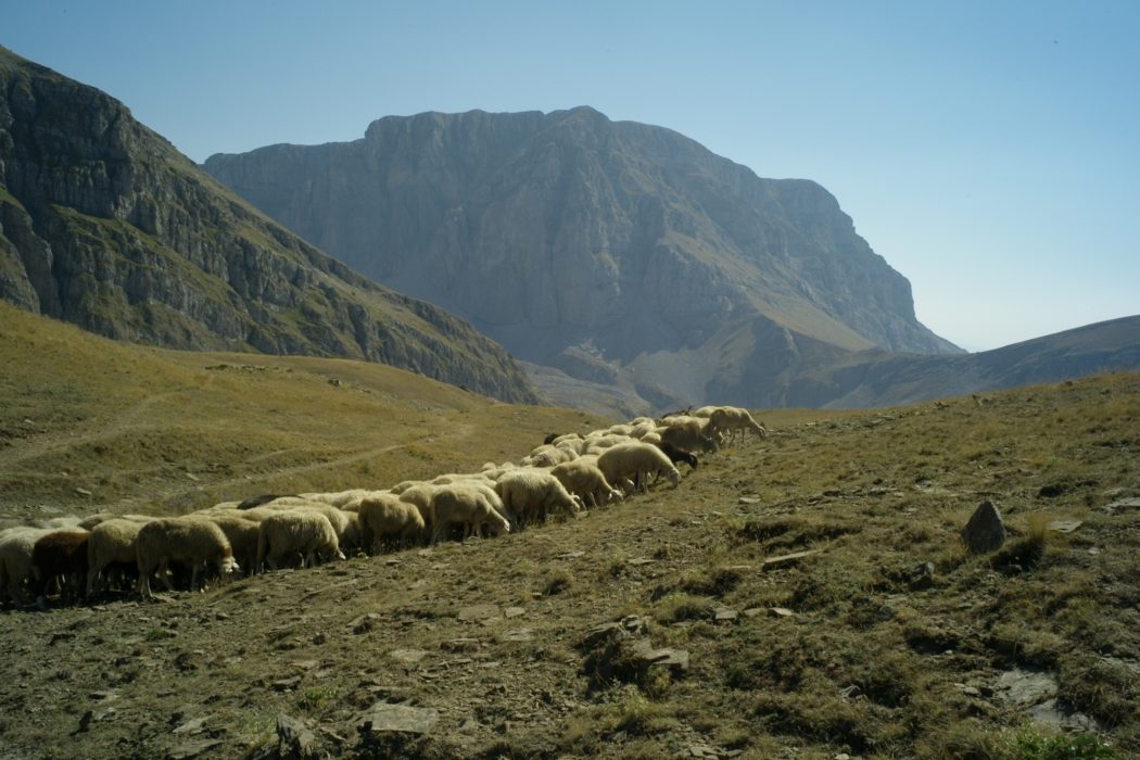 002 Astraka From Dhrakolimni With The Refuge On The Col
