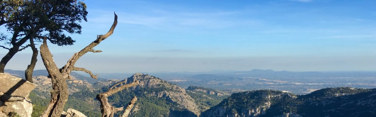 10 View From Sa Comuna Banner
