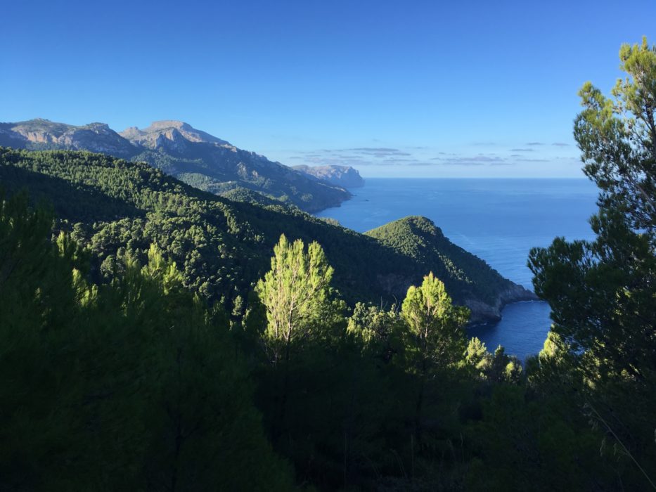 7 View Along Coast
