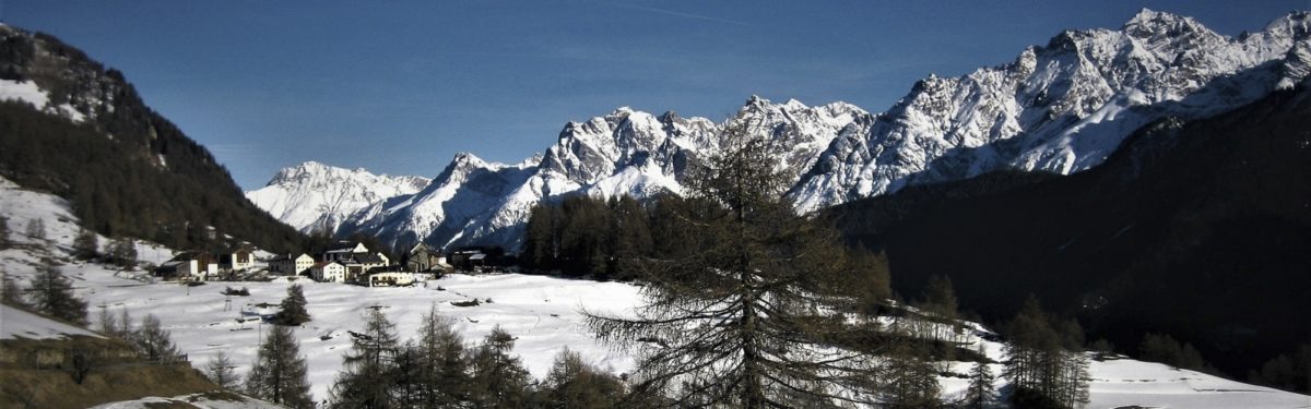Se5 Bos Cha Header