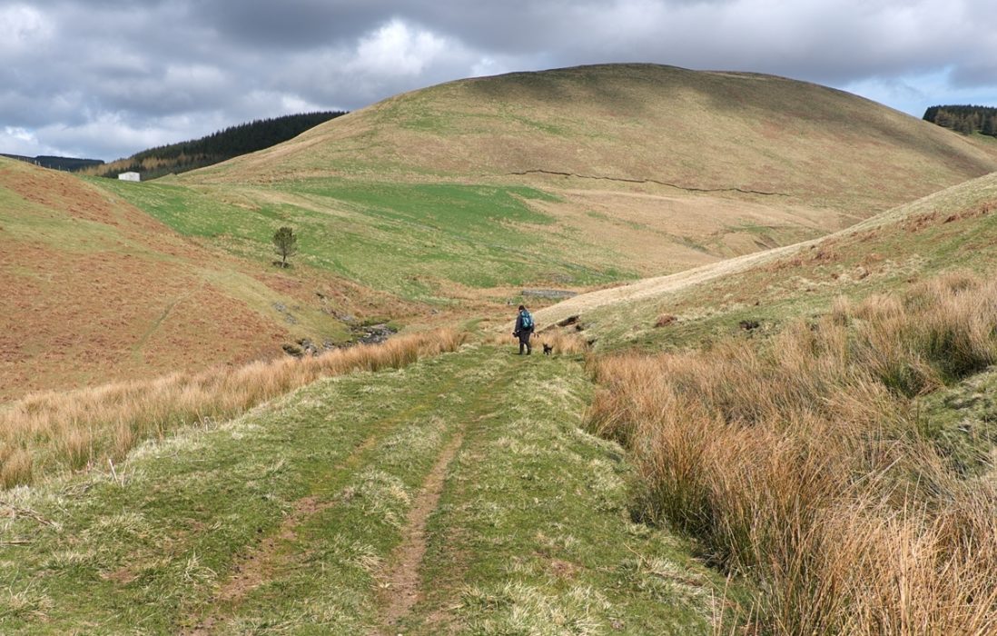 11 Clennell Street Heads Deep Into The Cheviot Hills