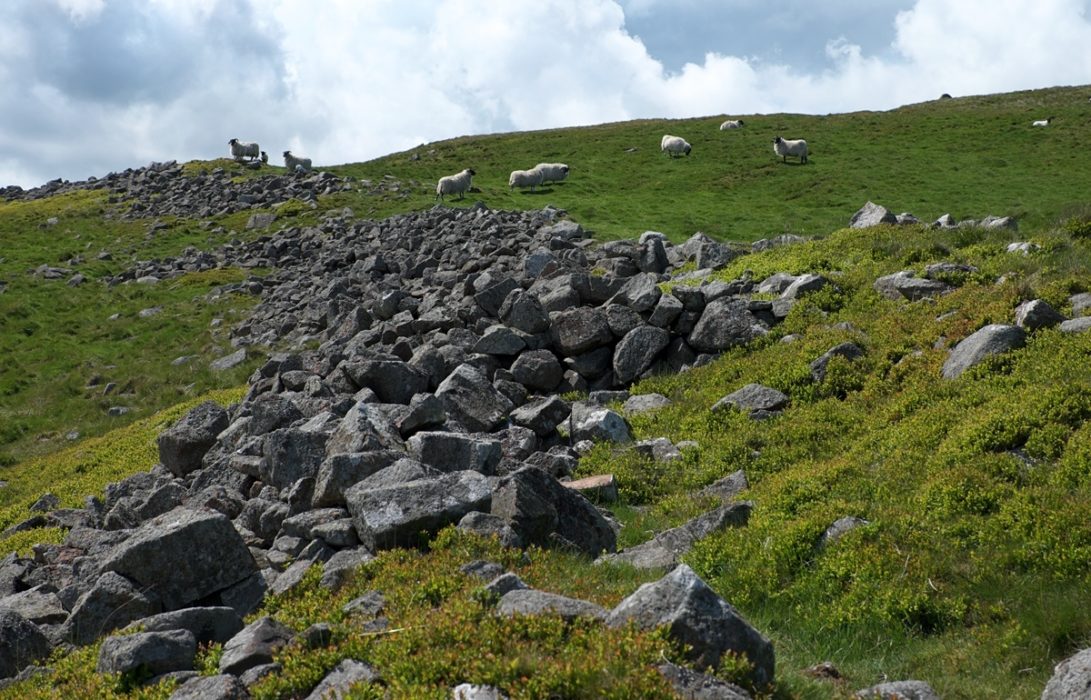 5 Stone Ramparts Of An Iron Age Hillfort On Yeavering Bell