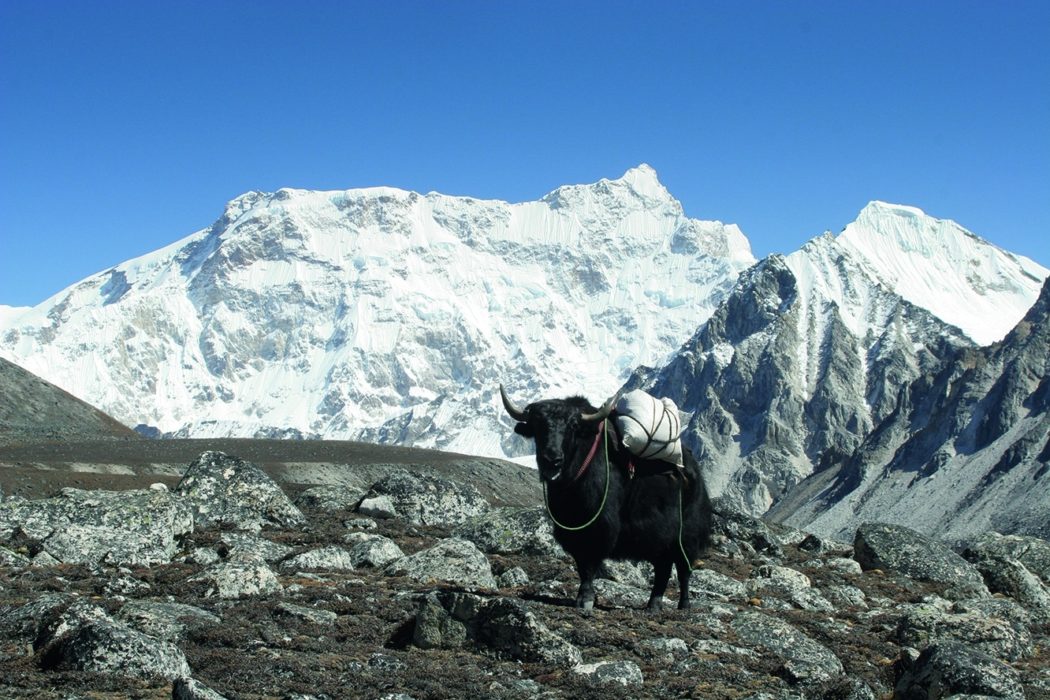 An Intro To… Trekking In Bhutan 