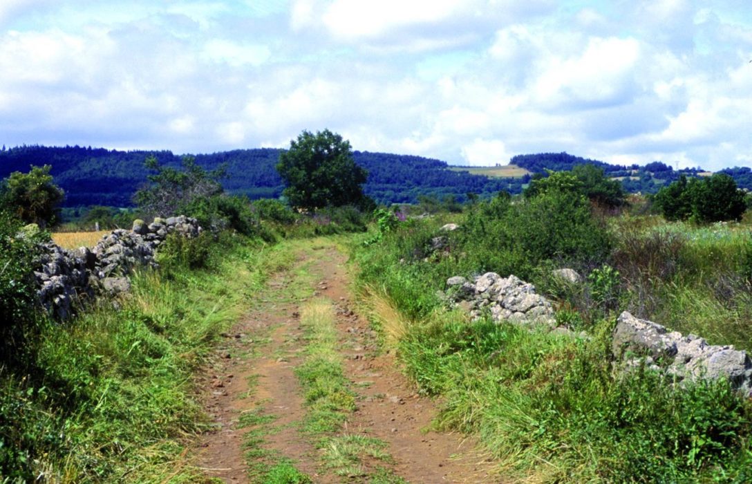 Pilgrim Path Between Liac And Lic