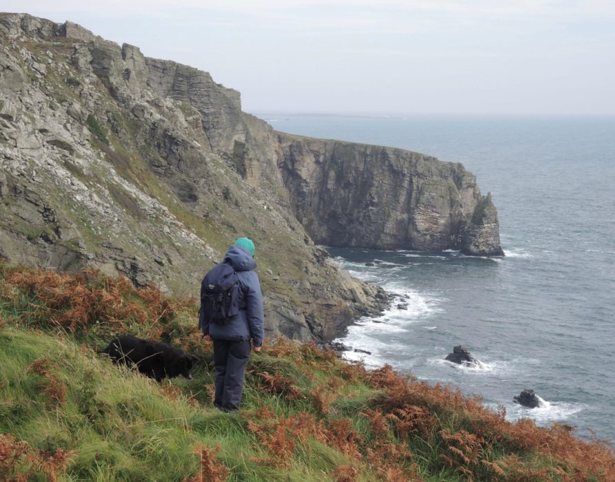 1 The Cliffs Of The Chasms And Sugar Loaf Sea Stack