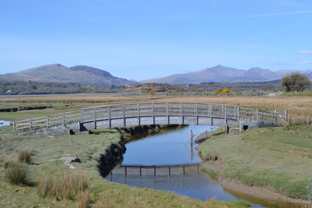 South of the Dwyryd there is an excellent view of the Snowdonia mountains