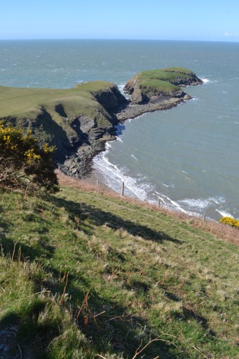 The tiny island of Ynys Lochtyn near Llangrannog