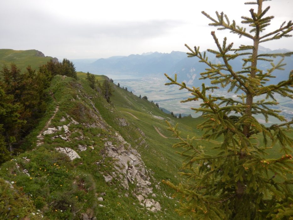 10 The Border Ridge At Col De La Foliere