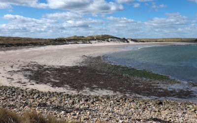 2 This Beach On Lindisfarne Is Typical Of Northumberland's Coastal Scenery