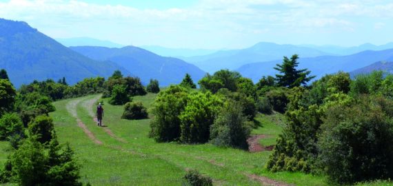 Descending Into The Langadha Valley