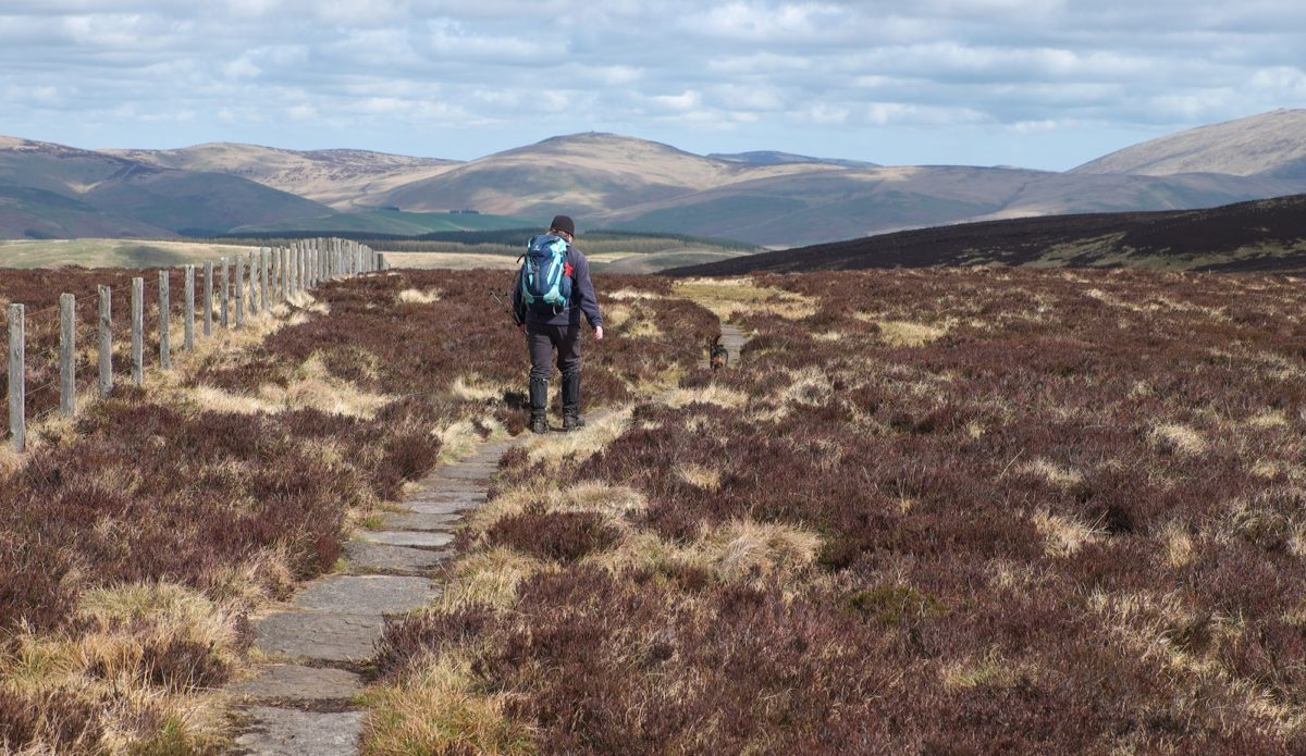 4 Walker On The Border Ridge In Northumberland