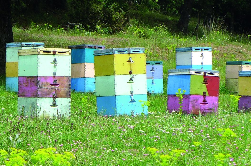 Beehives Near Nimfasia