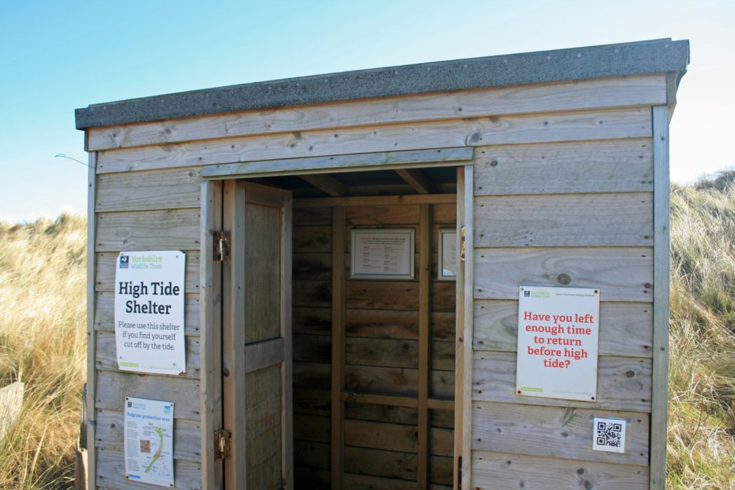 High Tide Shelter