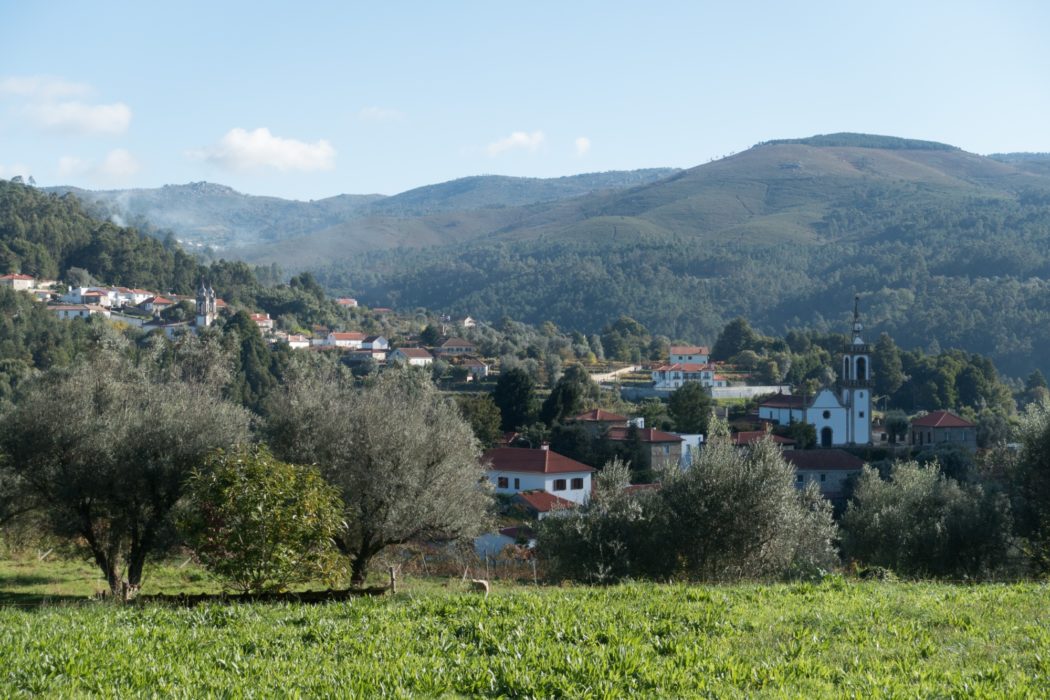 Central Camino: Countryside Views In Labruja