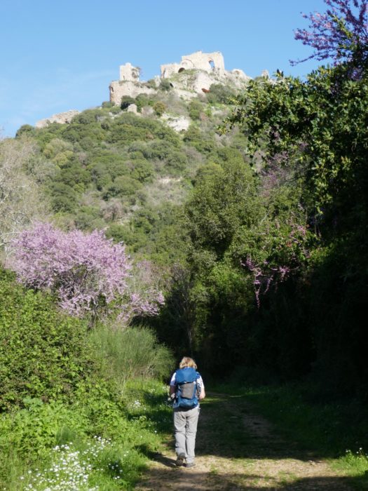 P002 Montfort Crusader Castle Stands High Above The Khziv Gorge