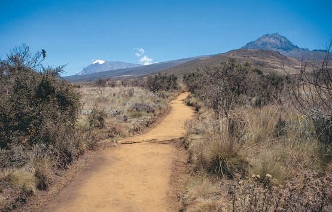 034 Path Across The Heath From Mandara Hut To Horombo Hut With Mawenzi In The Foreground And Kibo In The Distance