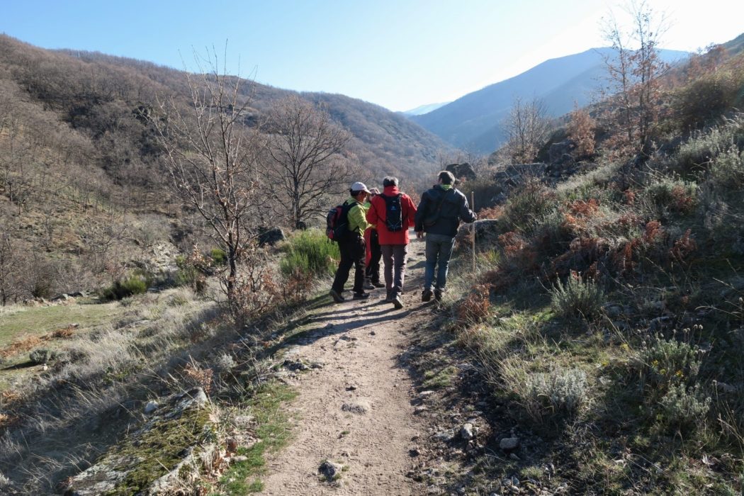 On the path above the river