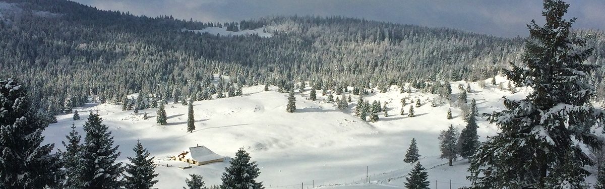 Snowshoeing In The Swiss Jura A Perfect Weekend Cicerone