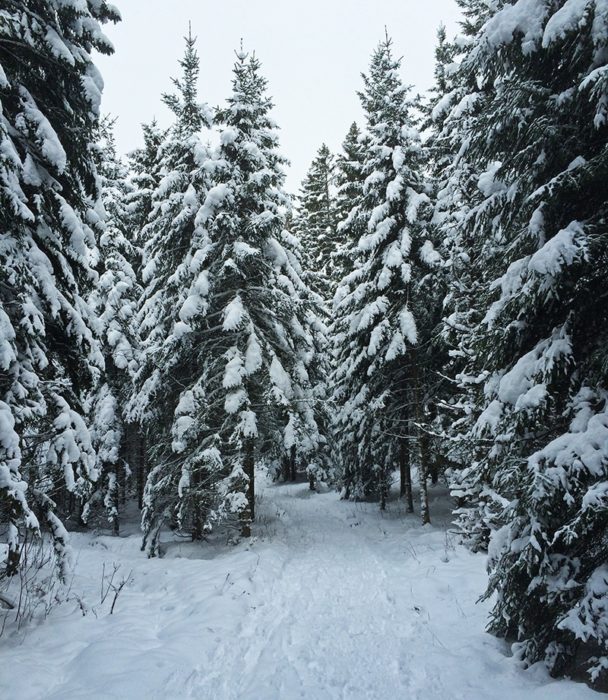 Col du Mollendruz Nordic Centre