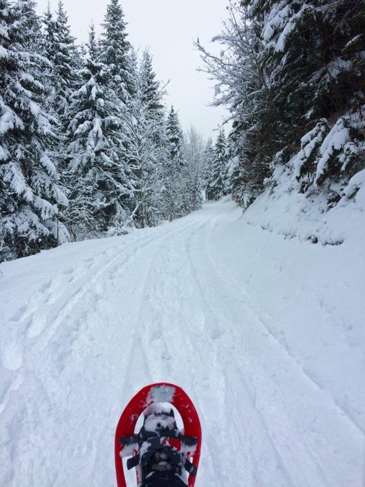 Hiking up Combe de la Neige
