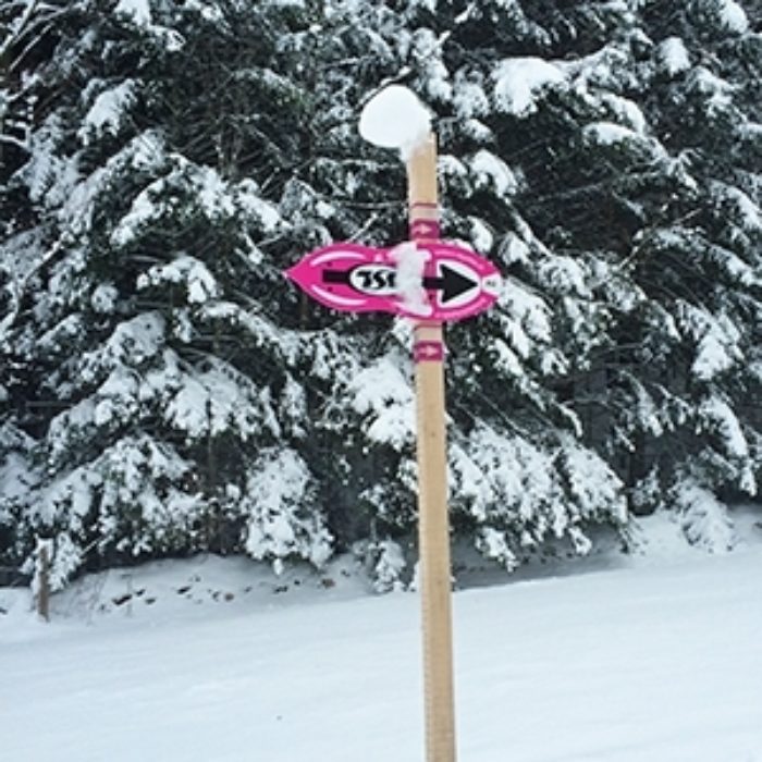 The area is well-marked with 'Sentier' routes, but Swiss mapping can also be a great aid to navigation