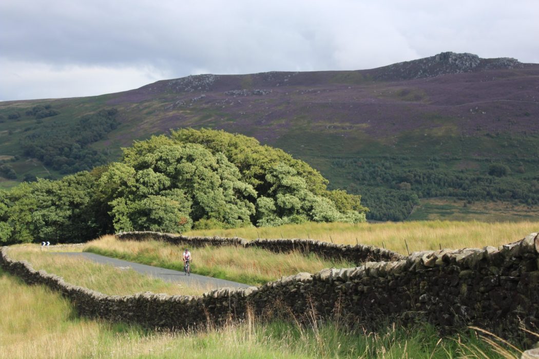 The dry stone walls of New Road on the climb past Simon's Seat