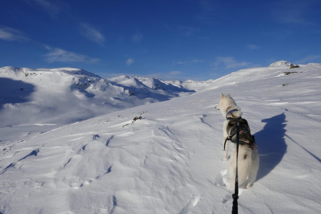 Heading north to Bjordalsbu