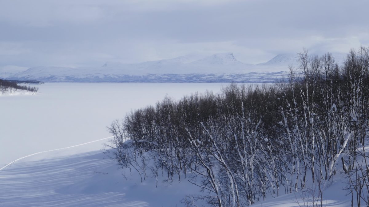 North of Abisko