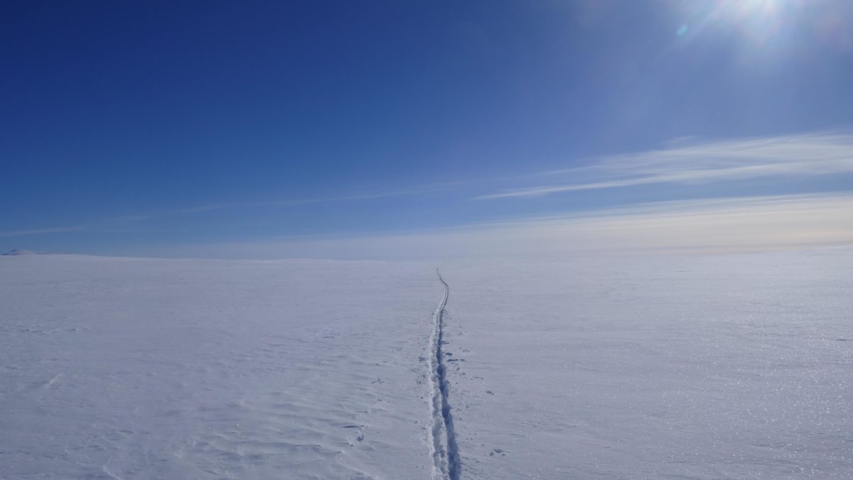 Finmark flatness