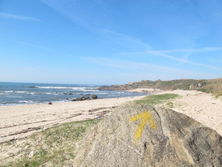 Sampaio Castro near Vila do Conde