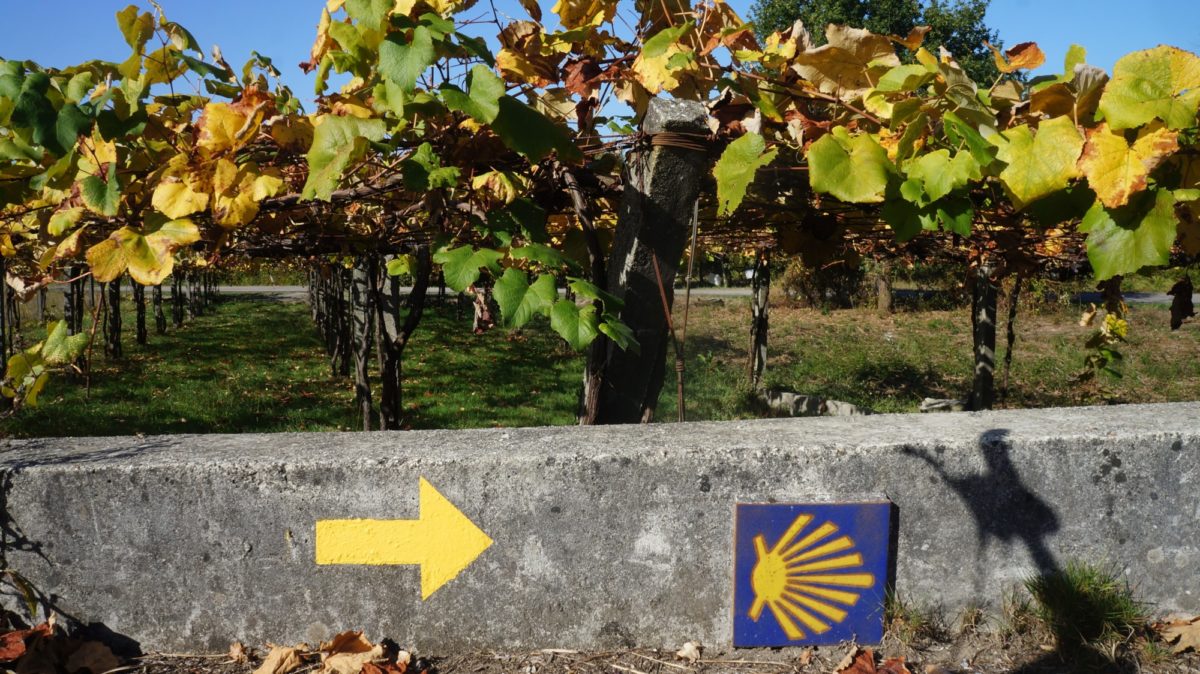 Waymarking on the Camino Portugues