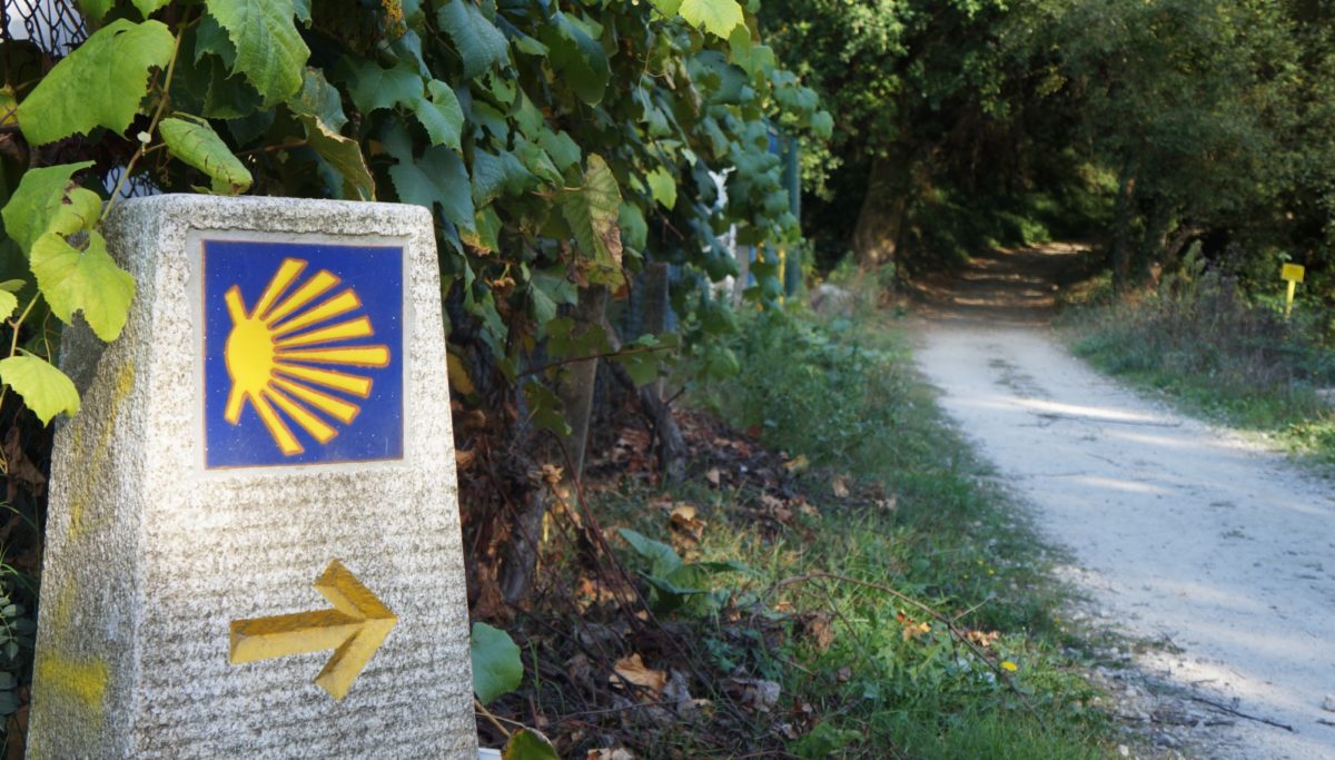 Camino Portugues Path Caminoways