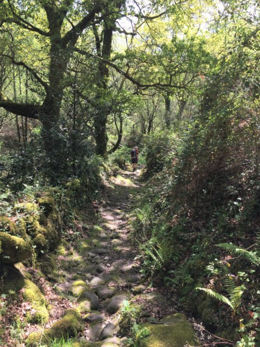 The Coffin Road