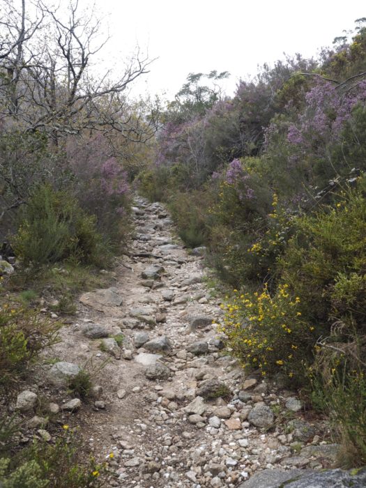 Minas dos Caris track