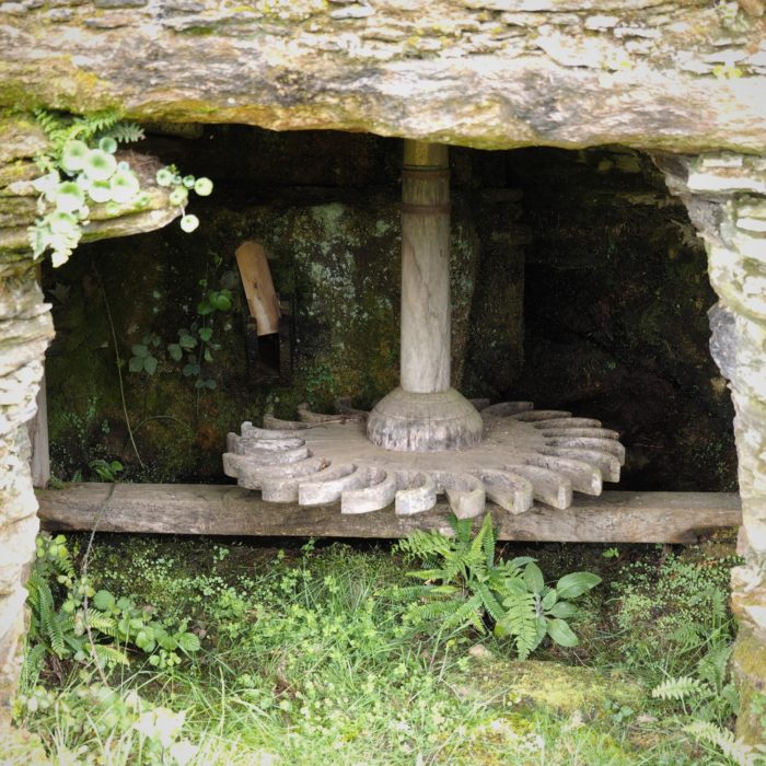 Paddled mill wheel
