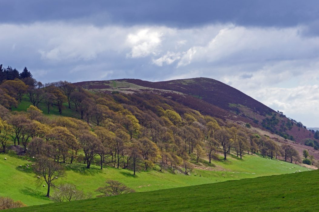 A land of shapeless hills, this one being Ysgwd-ffordd near Tynypant.